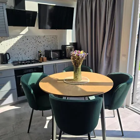 Black Dora * Jaremtsche